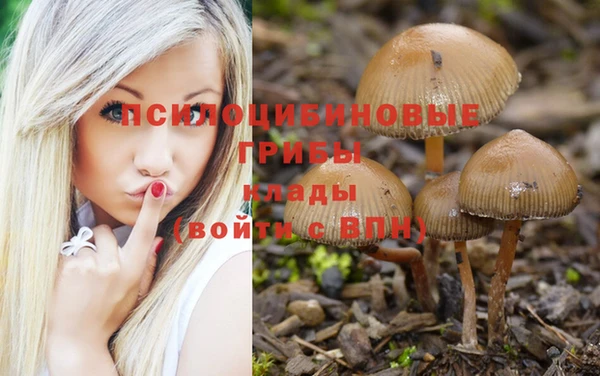 spice Мегион