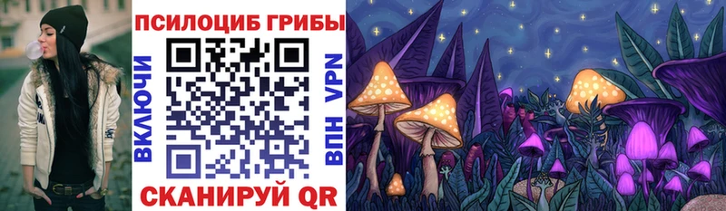 гидра tor  Батайск  Псилоцибиновые грибы Psilocybine cubensis  купить наркотик 