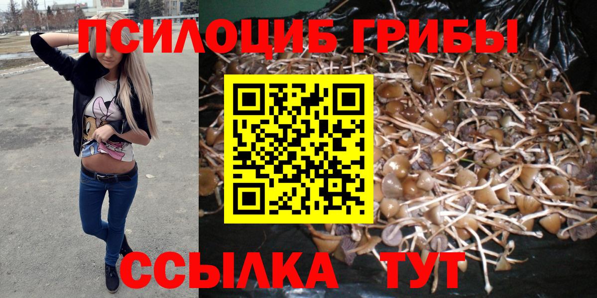 Галлюциногенные грибы GOLDEN TEACHER  Батайск 