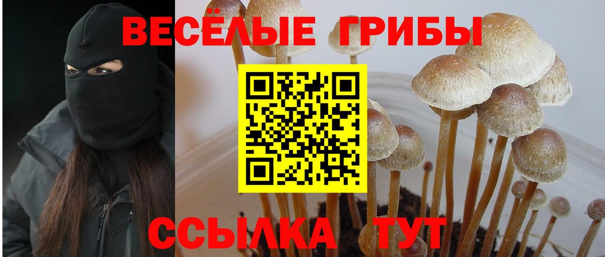 Галлюциногенные грибы мухоморы  Псилоцибиновые грибы MAGIC MUSHROOMS  Вход с VPN  Батайск 